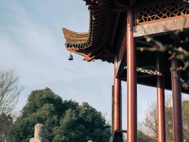 明星八卦：田雨汤唯恋爱因《色戒》分手张婉婷离婚风波吴京开班培养动作戏人才尚雯婕学霸背景曝光！